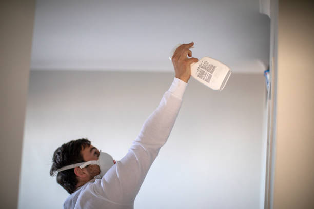 Best Same-Day Mold Removal  in Harker Heights, TX