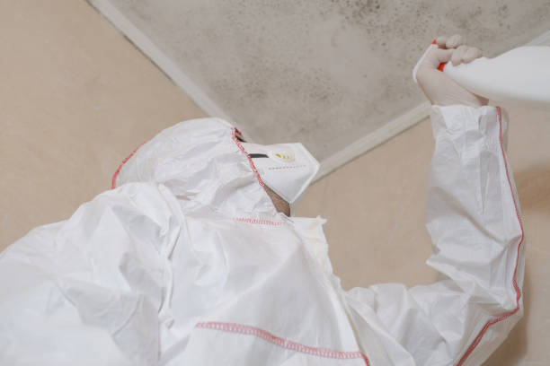 Best Mold Removal Specialists  in Harker Heights, TX